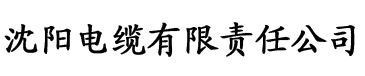 成人短视频app在线下载电缆厂logo